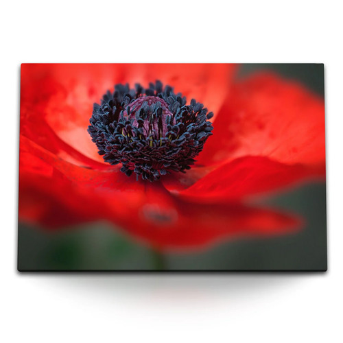 120x80cm wandbild auf leinwand - 120x80cm,