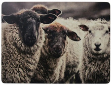 4er Set Tischsets Unterseite