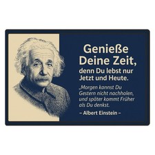 Metallschild Albert Einstein