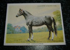 John Player (LARGE) - Arten