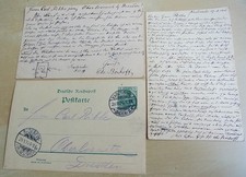 Buchbinder & Entomologe