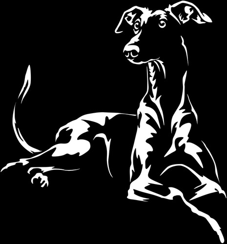Galgo windhund aufkleber - windhund,