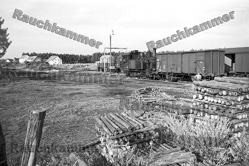 Fotoabzug 10x15 98 1005 - db,