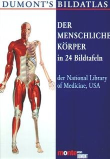 Der menschliche körper 24 - körper:,