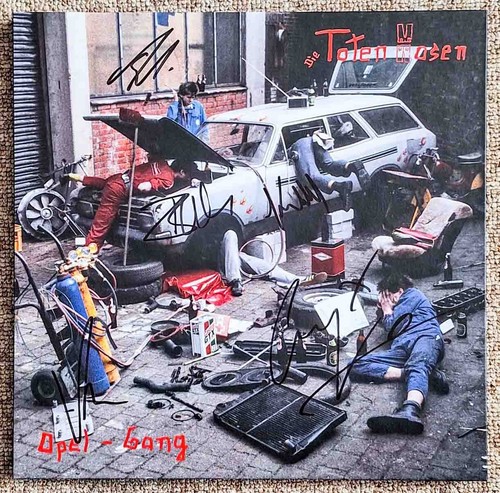 Die toten hosen - 12",