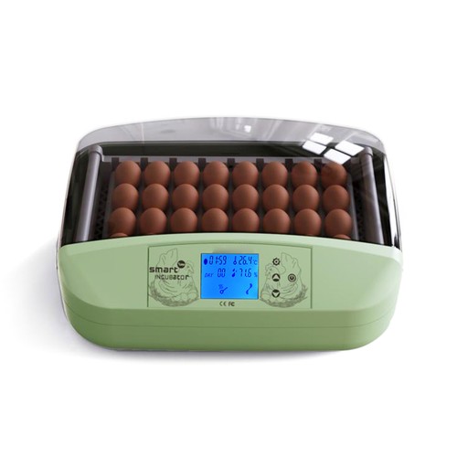 Pcs digital egg - 32,
