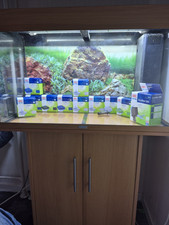 Juwel Rio 125 Aquarium mit Unterschrank und Zubehör
