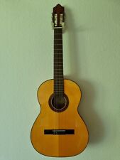Flamenco Spanische Gitarre