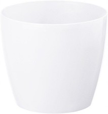 Magnolia Blumentopf Ø300mm