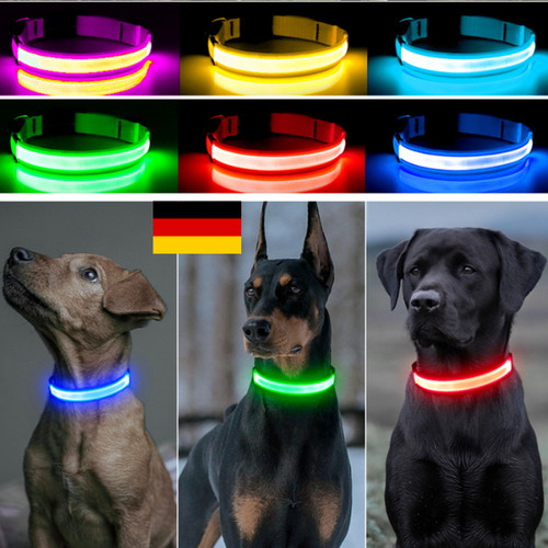Hundehalsband leuchthalsband - hundehalsband,