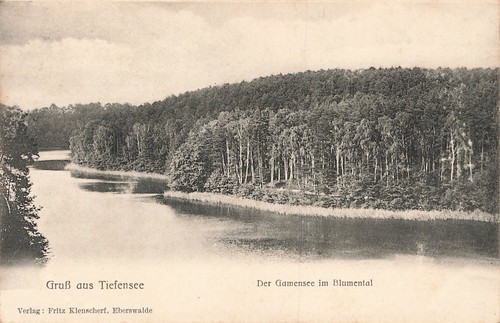 684639 gruss aus karte - gruss,