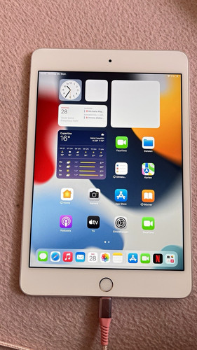 Apple ipad mini gb - 16,