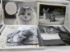 Postkarten katzen - 53,
