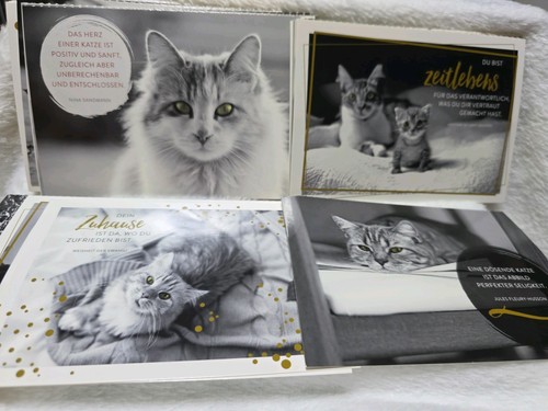 Postkarten katzen - postkarten, –