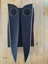 Mercedes E-Klasse W213 Zierleisten mit Ambiente B.Türen Satz Holz Esche Schwarz