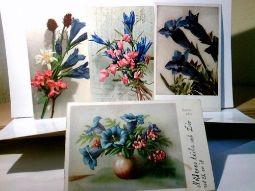 Vintage nostalgie - /,