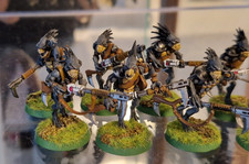 Top Deal !!! 12x Kroot Carnivores/Jäger - T'au Empire - pro Painted