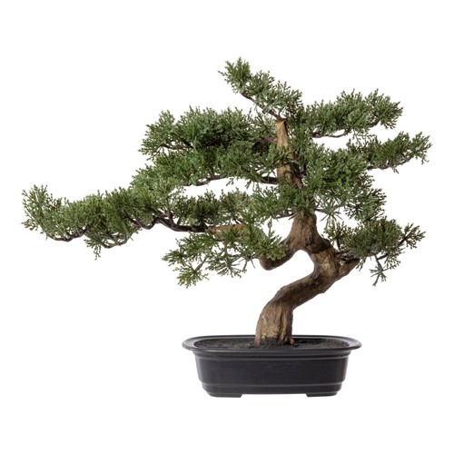 Kunstpflanze bonsai zeder - kunstpflanze,
