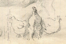 1900 Kuh, Huhn Zeichnung