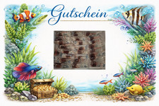 Gutschein Tubifex 5-100x90ml