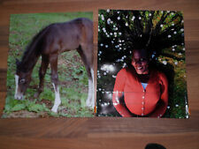 2 x tausche tasche Deckel Gr. L  Fohlen und Blumenzöpfe unbenutzt