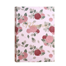 Einsteckalbum 10x15 für 300