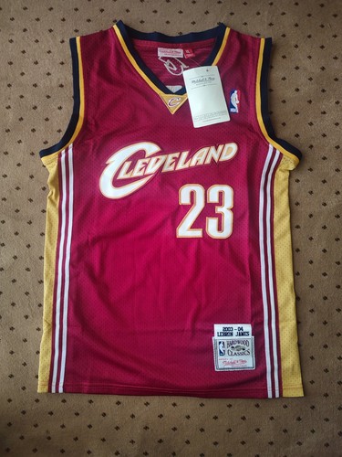 Lebron james 2003 - 2003-04, cleveland