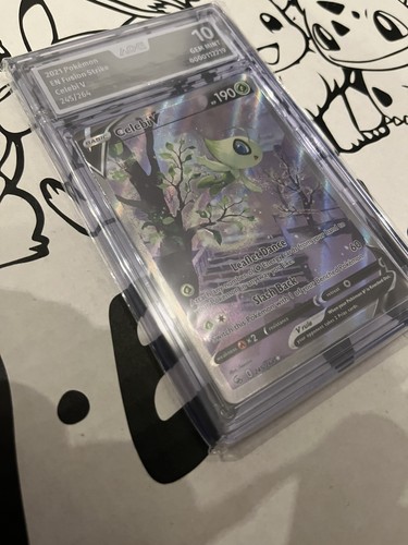Pokemon celeby 245 264 - celeby, v