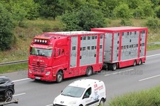 LKW Foto Mercedes-Benz Actros Viehtransporter Deutschland rot HIMML #l3bd