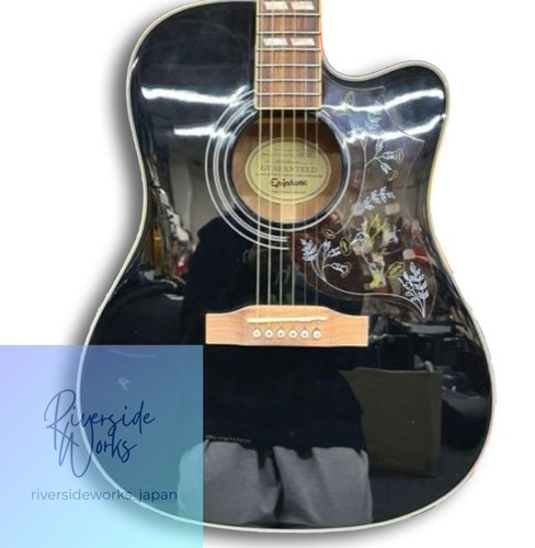 Epiphone hummingbird performer - hummingbird,