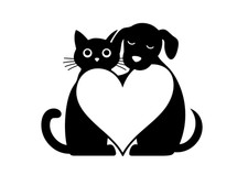 Niedliche Hund & Katze Liebe