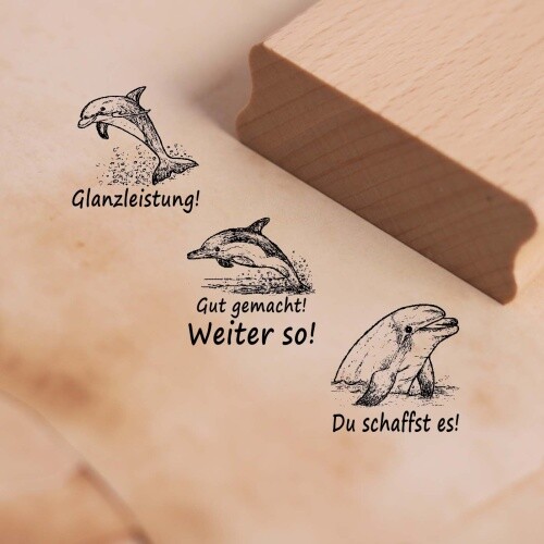 Lehrerstempel delfin set - lehrerstempel,