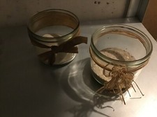 Teelichthalter Vintage,Kerzengläser,Tischdeko Vintage,Kommunion,Taufe,etc 60 stk