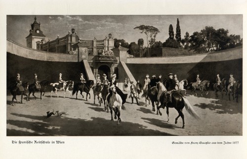 Spanische reitschule wien - reitschule,
