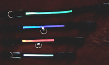 LED Hundehalsband  mehrfarbige