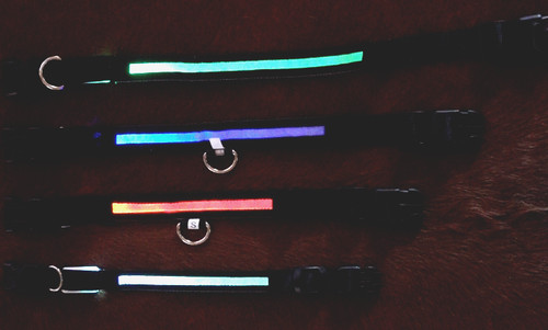 Led hundehalsband mehrfarbige - ,