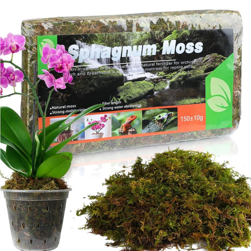 Sphagnum moss for plants - , (5l)