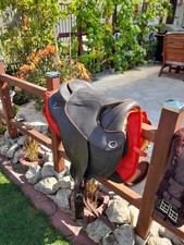 Canadian Trekking Sattel, baumloser Wanderreitsattel mit vielen Applikationen