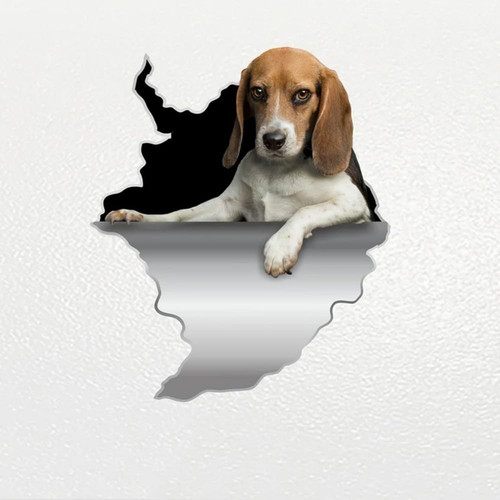 Beagle hund aufkleber - 3d,