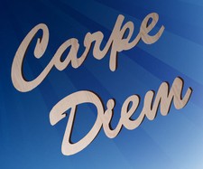 Große Holz Buchstaben Carpe