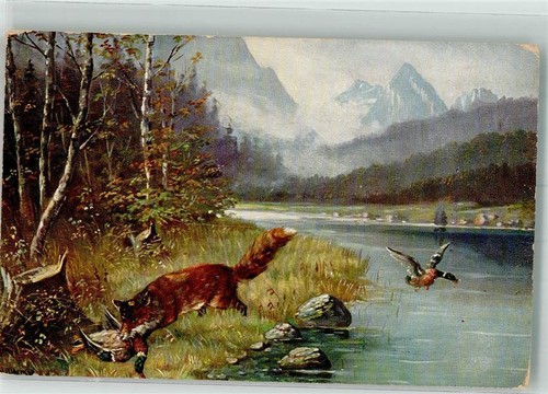 39913299 flugenten verlag - -,