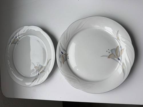 Speiseteller 24 5 cm - x,