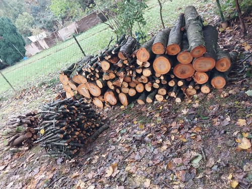 Kirschbaum holz - kirschbaum,