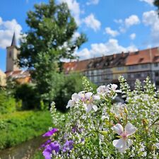 Erfurt Kurzreise 2-4 Tage 2P-DZ @ 3* Hotel am Kaisersaal direkt in der Altstadt 