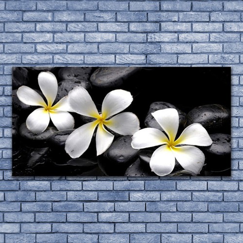 Acrylglasbilder wandbilder aus - acrylglasbilder,