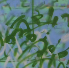 Thomas John Akademie Stuttgart