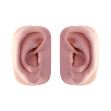 Akupunkturmodell Ohr ohne