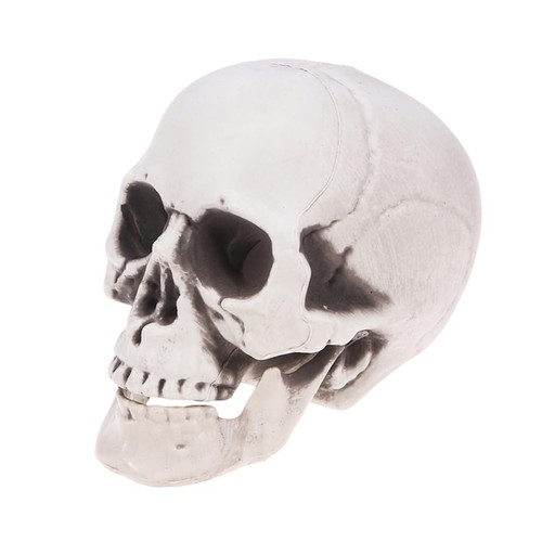 Halloween totenkopf deko - totenkopf,