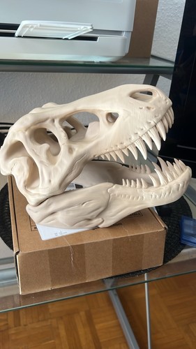 Tyrannosaurus rex schädel - tyrannosaurus,