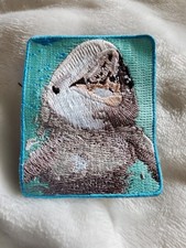 Delfin delphin - 🐬,